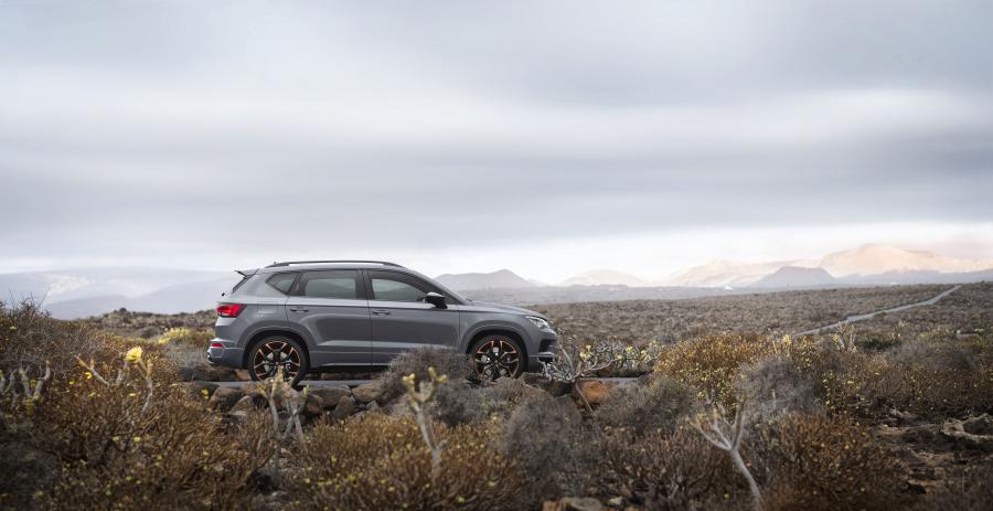  Cupra Ateca Limited Edition 2019 года  (WW) (фото 28 из 40)